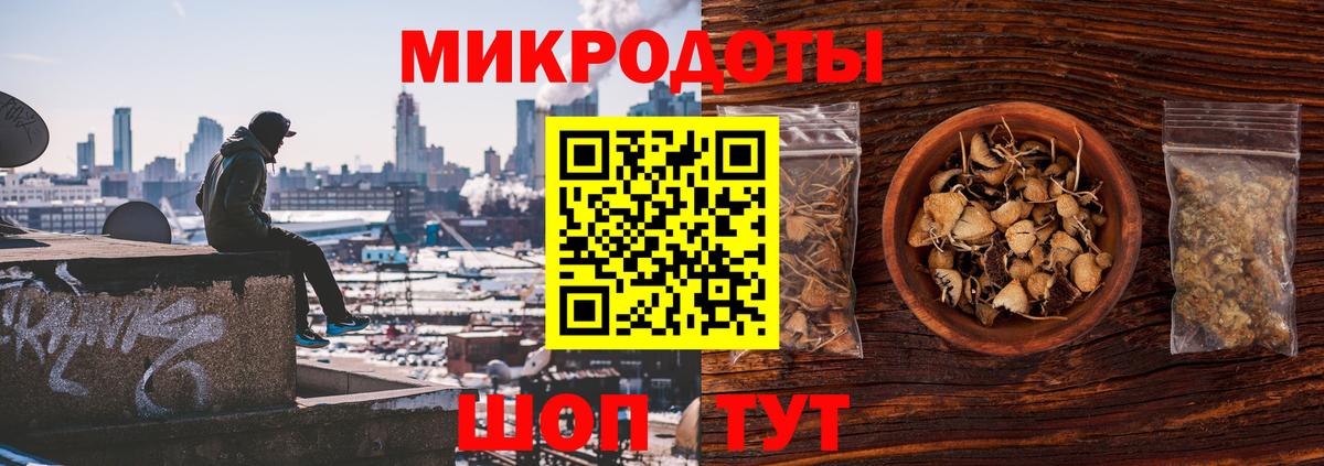 Галлюциногенные грибы Psilocybine cubensis Солнечногорск