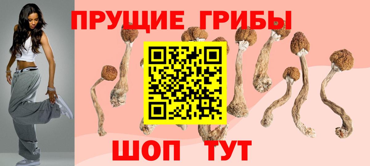 что такое   Псилоцибиновые грибы мухоморы  Вход с VPN  Солнечногорск 